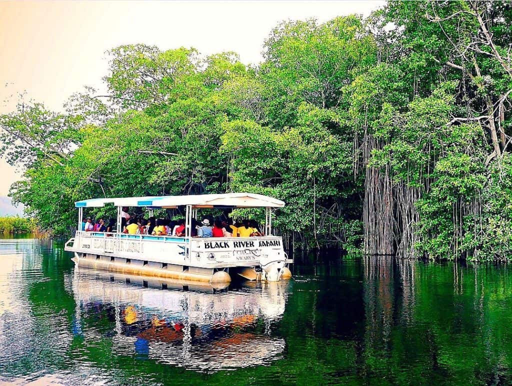 Black River Safari 2