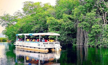 Black River Safari 2