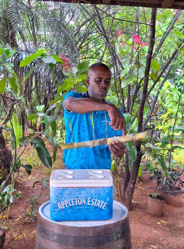 Appleton Estate Rum Tour
