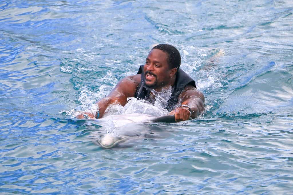Man swimming with Dolphin