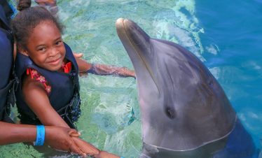 Baby swimming with Dolphin